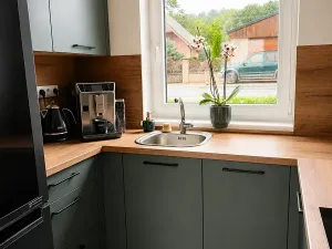 Pronájem rodinného domu, Košťany, 84 m2