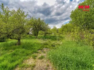 Prodej zemědělské usedlosti, Neurazy - Soběsuky, 138 m2