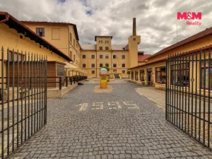 Prodej výrobních prostor, Kynšperk nad Ohří, Sokolovská, 8700 m2