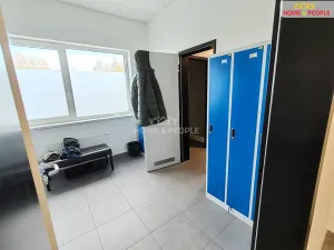 Pronájem skladu, Ostrov, 4400 m2