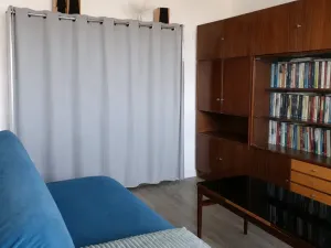 Prodej bytu 2+1, Ostrava - Moravská Ostrava, Vítězná, 55 m2