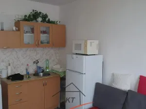 Pronájem bytu 1+kk, Ústí nad Labem, Hoření, 28 m2