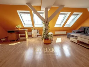Prodej bytu 3+1, Teplice, Duchcovská, 80 m2