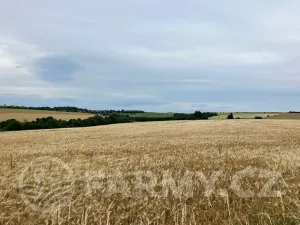 Prodej pole, Cerekvička-Rosice, 71148 m2