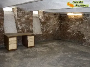 Pronájem skladu, Ostrava, 160 m2