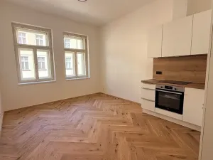 Pronájem bytu 1+kk, Praha - Žižkov, Seifertova, 25 m2