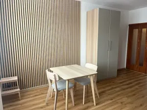 Pronájem bytu 1+kk, České Budějovice, Riegrova, 32 m2