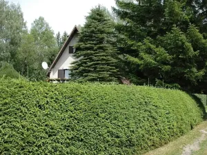 Prodej chaty, Hnačov, 100 m2