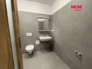 Pronájem kanceláře, Ostrava - Vítkovice, Lidická, 57 m2