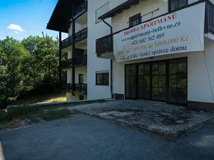 Prodej bytu 2+1, Bayerisch Eisenstein, Německo, Brennesstraße, 55 m2