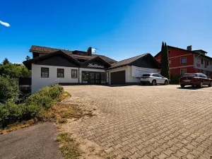 Prodej bytu 1+1, Bayerisch Eisenstein, Německo, Brennesstraße, 37 m2