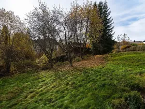Prodej bytu 1+1, Bayerisch Eisenstein, Německo, Brennesstraße, 37 m2