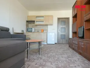 Pronájem bytu 1+kk, Rychnov nad Kněžnou, Mírová, 40 m2