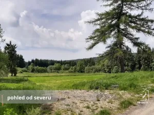 Prodej pozemku pro bydlení, Přední Výtoň, Svatý Tomáš, 2479 m2