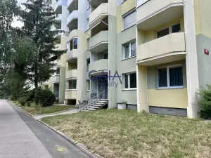 Prodej bytu 1+1, Veselí nad Moravou, Hutník, 37 m2