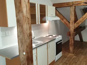 Pronájem bytu 1+kk, Ústí nad Labem, Londýnská, 44 m2