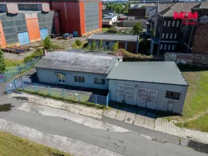 Prodej výrobních prostor, Ostrava - Moravská Ostrava, Pohraniční, 388 m2