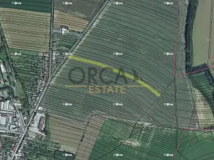 Prodej podílu pole, Morkovice-Slížany, 1886 m2