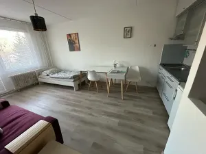 Pronájem bytu 1+kk, Hradec Králové, Hradecká, 30 m2