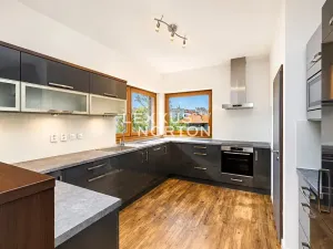 Pronájem bytu 3+1, Praha - Podolí, Lopatecká, 155 m2