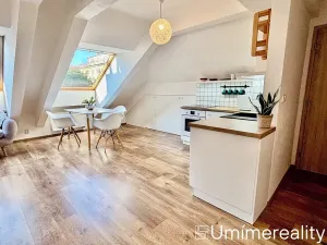 Pronájem bytu 1+kk, Praha - Vinohrady, Šrobárova, 50 m2
