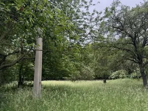 Prodej podílu lesa, Bílina, 2704 m2