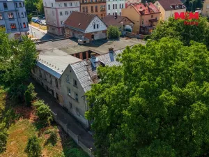 Prodej obchodního prostoru, Děčín - Děčín III-Staré Město, Litoměřická, 1000 m2