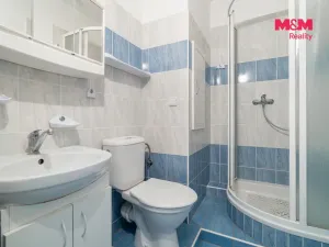 Prodej bytu 1+1, Olomouc - Nová Ulice, I. P. Pavlova, 35 m2