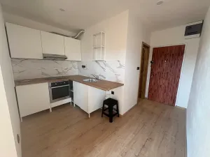 Pronájem bytu 1+1, Bílina, Sídliště U Nového nádraží, 40 m2