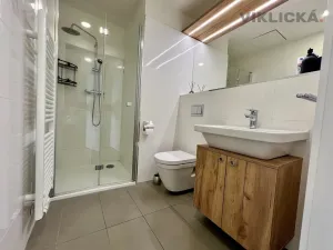 Pronájem bytu 1+kk, Praha - Vinohrady, Perucká, 27 m2