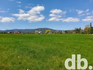 Prodej pozemku pro bydlení, Hroznětín, 45594 m2