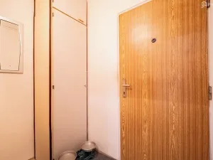 Prodej bytu 2+1, Brno, Mikulčická, 56 m2