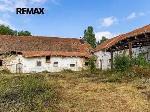 Prodej zemědělského objektu, Počedělice, 2500 m2