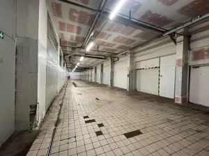 Pronájem skladu, Nelahozeves, 263 m2