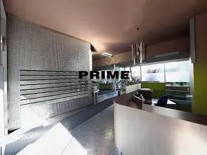 Pronájem bytu 2+kk, Praha - Žižkov, Prokopova, 72 m2