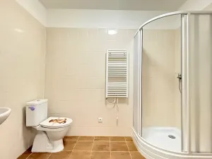 Pronájem bytu 2+kk, Mšené-lázně, Mládežnická, 40 m2