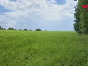 Prodej zahrady, Liberec, V Lučinách, 1050 m2