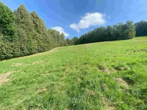 Dražba louky, Sobotín, 10593 m2