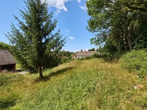Prodej pozemku pro bydlení, Horní Olešnice, 1849 m2