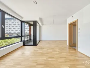 Prodej bytu 3+kk, Praha - Žižkov, Kaplířova, 89 m2