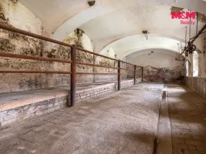 Prodej výrobních prostor, Dívčice - Zbudov, 180 m2