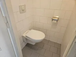 Pronájem bytu 2+1, Praha - Vinohrady, Slovenská, 97 m2