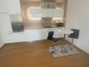 Pronájem bytu 1+kk, Praha - Břevnov, Nad Závěrkou, 35 m2