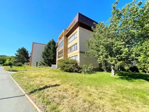 Prodej bytu 3+1, Praha, Havlínova, 53 m2