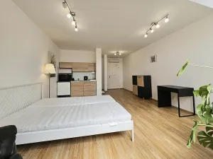 Pronájem bytu 1+kk, Brno, Masarykova, 33 m2