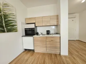 Pronájem bytu 1+kk, Brno, Masarykova, 33 m2
