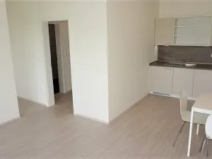 Pronájem bytu 1+kk, Střelice, Příční, 43 m2