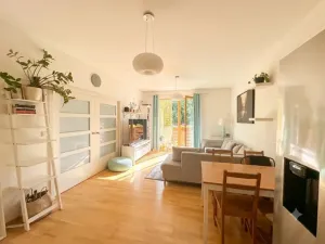 Pronájem bytu 2+kk, Praha - Žižkov, Jeseniova, 55 m2