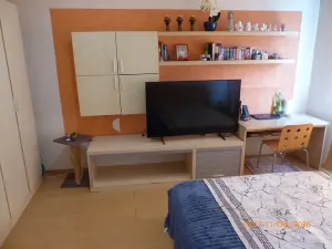Prodej bytu 1+1, Chomutov, Kamenná, 37 m2