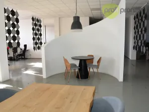 Pronájem obchodního prostoru, Ostrava, Cihelní, 701 m2